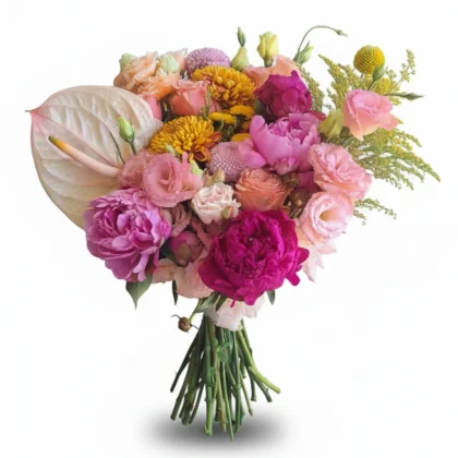 Pembe Gelin Çiçeği